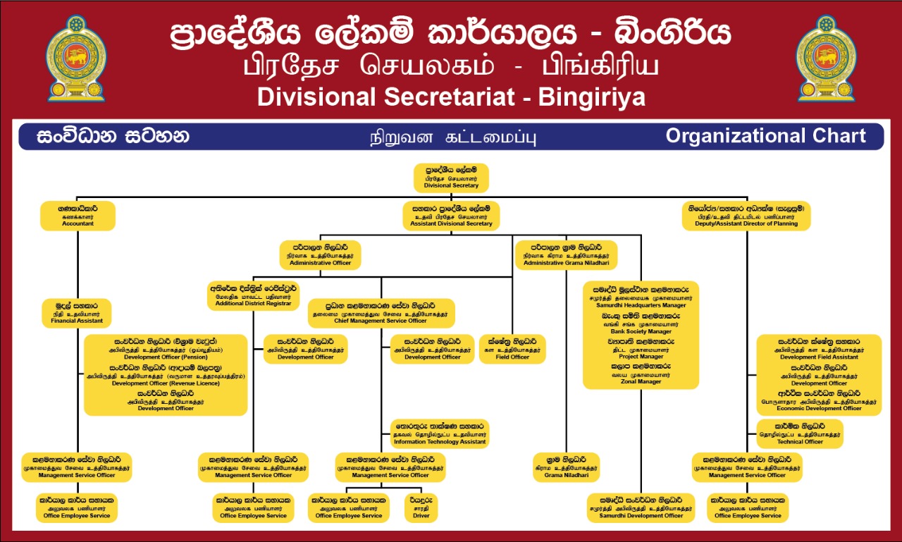 Organization Chart