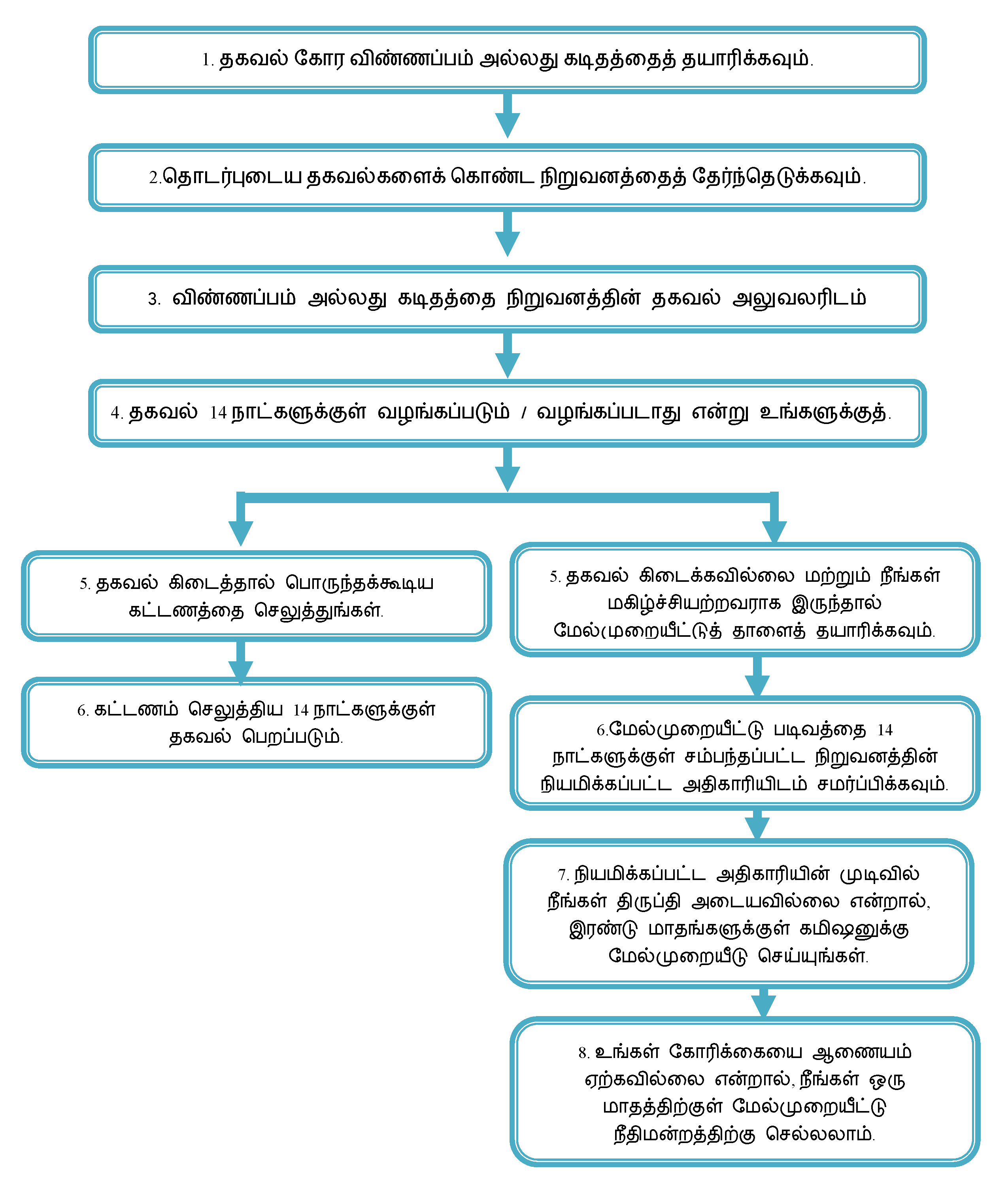 RTIProcessTAM