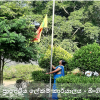 Commencement of Duties in 2023