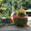 72 nd Independence Day