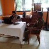 Blood Donation
