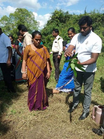 “හැදෙන රටට වැඩෙන ගසක් “රුක් රෝපණ වැඩසටහන