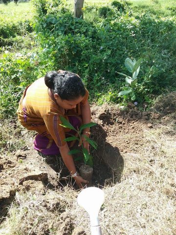 “හැදෙන රටට වැඩෙන ගසක් “රුක් රෝපණ වැඩසටහන