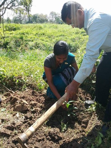 “හැදෙන රටට වැඩෙන ගසක් “රුක් රෝපණ වැඩසටහන