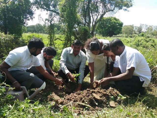 “හැදෙන රටට වැඩෙන ගසක් “රුක් රෝපණ වැඩසටහන