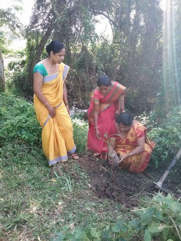 “හැදෙන රටට වැඩෙන ගසක් “රුක් රෝපණ වැඩසටහන
