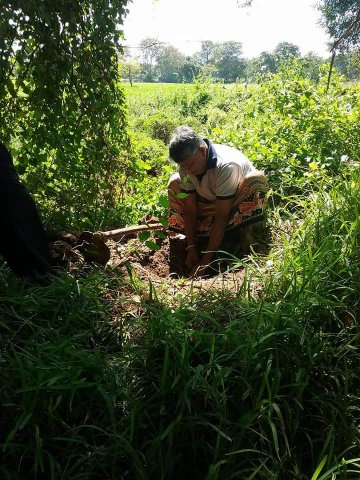 “හැදෙන රටට වැඩෙන ගසක් “රුක් රෝපණ වැඩසටහන