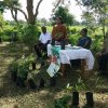 Hedena Ratata Wedena Gasak-Tree Planting Program - 