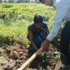 “හැදෙන රටට වැඩෙන ගසක් “රුක් රෝපණ වැඩසටහන
