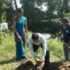 “හැදෙන රටට වැඩෙන ගසක් “රුක් රෝපණ වැඩසටහන