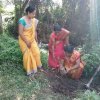 “හැදෙන රටට වැඩෙන ගසක් “රුක් රෝපණ වැඩසටහන