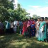 “හැදෙන රටට වැඩෙන ගසක් “රුක් රෝපණ වැඩසටහන